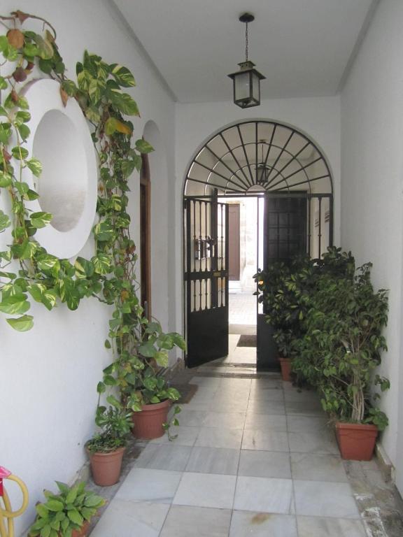 Baobab Hostal 엘푸에르토데산타마리아 객실 사진
